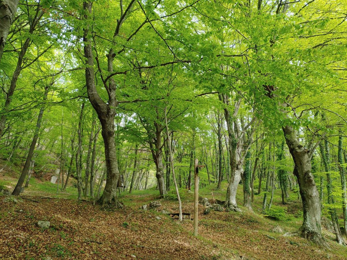 Locazione Turistica Arcobaleno "Appartamento Superior" Roccavivara Exterior foto