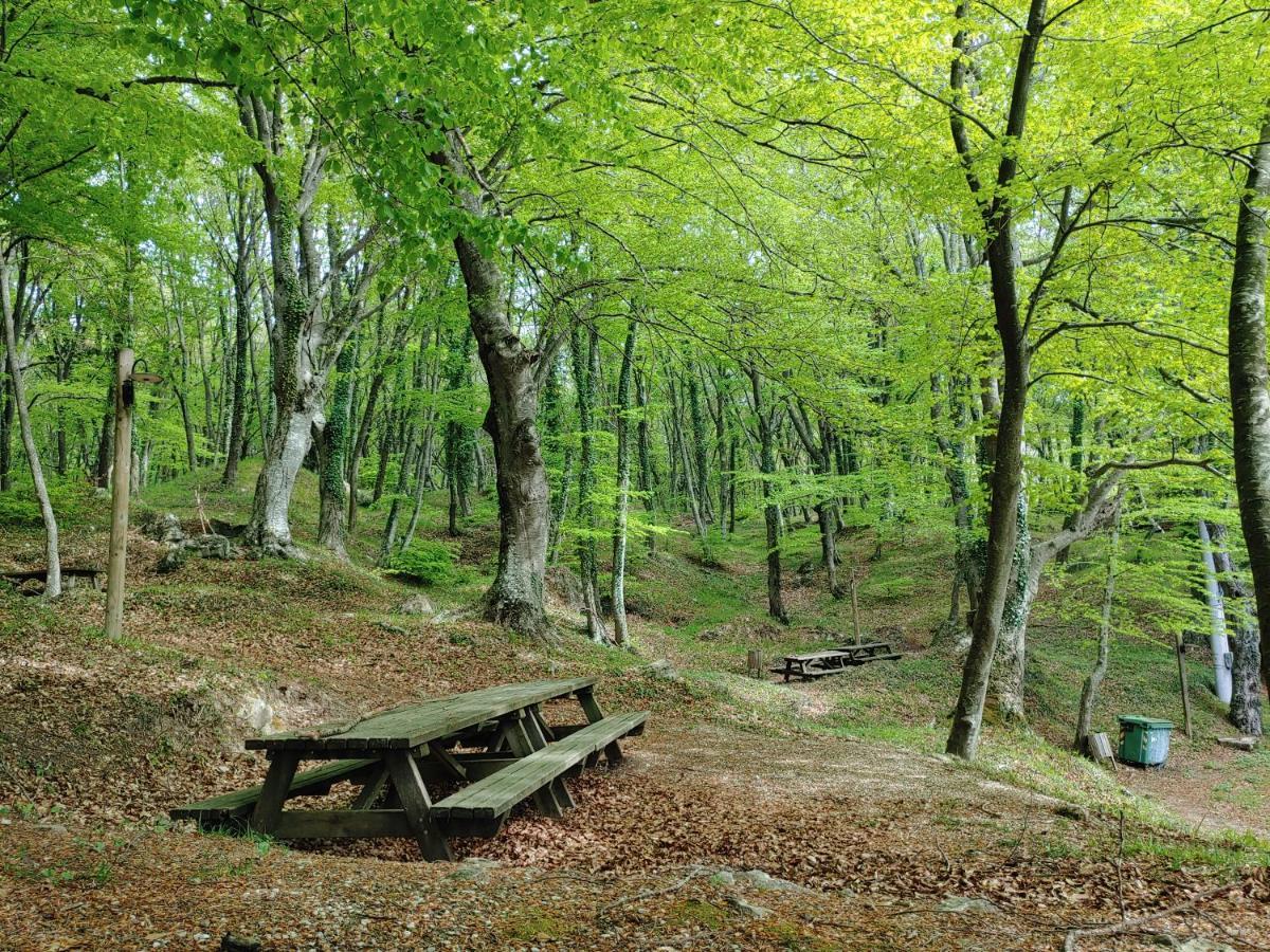 Locazione Turistica Arcobaleno "Appartamento Superior" Roccavivara Exterior foto